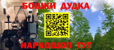 каннабис Ачхой-Мартан